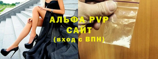 индика Тайга