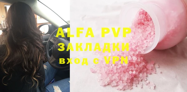 индика Тайга