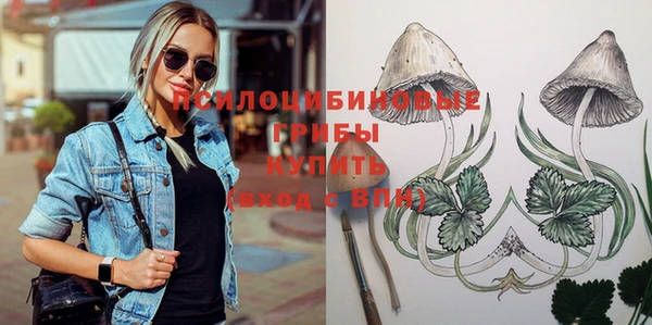 индика Тайга