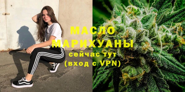 дмт Тавда