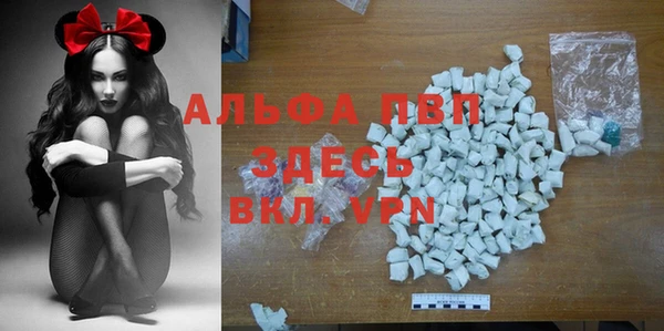 дмт Тавда