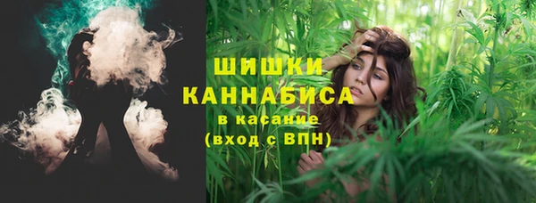 индика Тайга