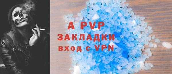 индика Тайга