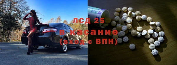 индика Тайга