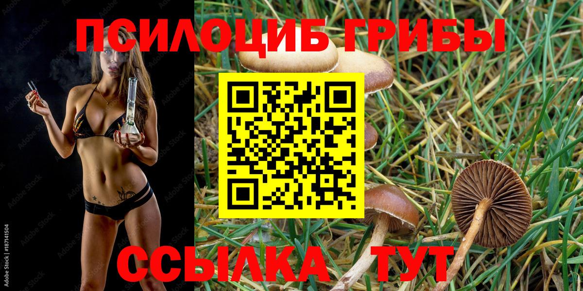 Псилоцибиновые грибы MAGIC MUSHROOMS Невинномысск