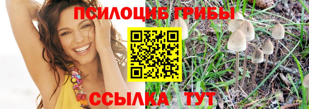 Галлюциногенные грибы мухоморы  Вход с VPN  Невинномысск 